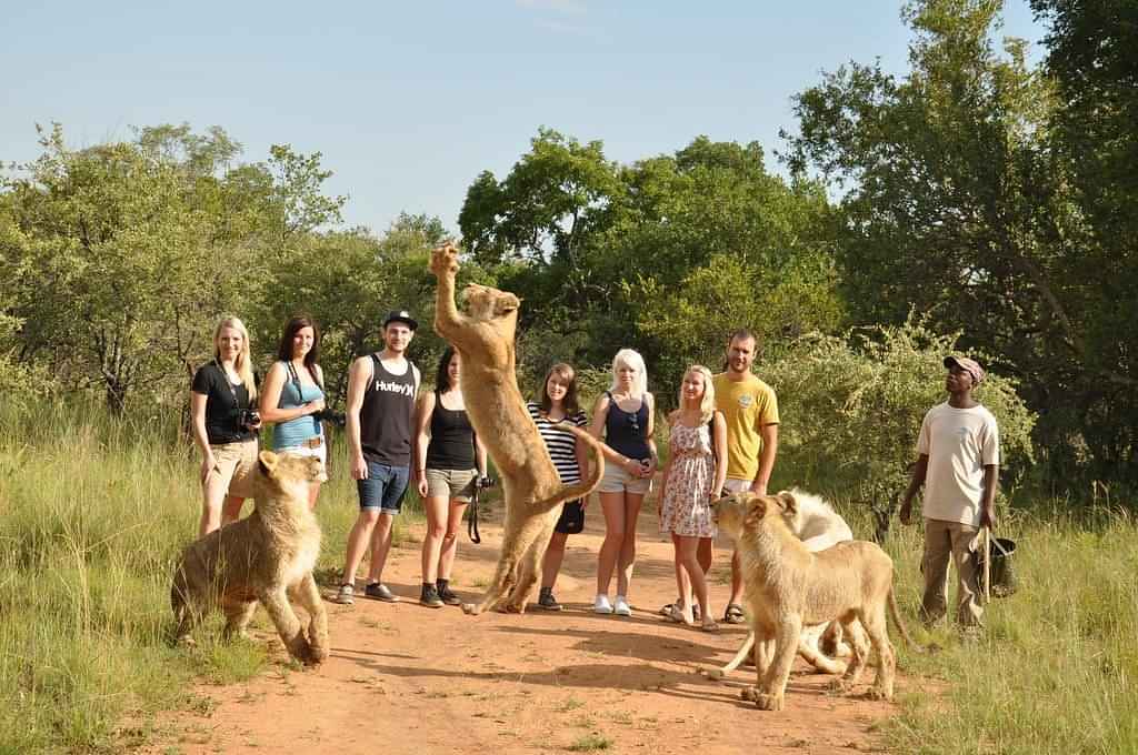 Lion Safari and Park - Self Drive