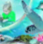 Sydney Attractions Pass: Sea Life Aquarium, Sydney Tower Eye, Wild Life Zoo and Madame Tussauds