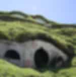 Experience Waitomo and Hobbiton on the way to Auckland