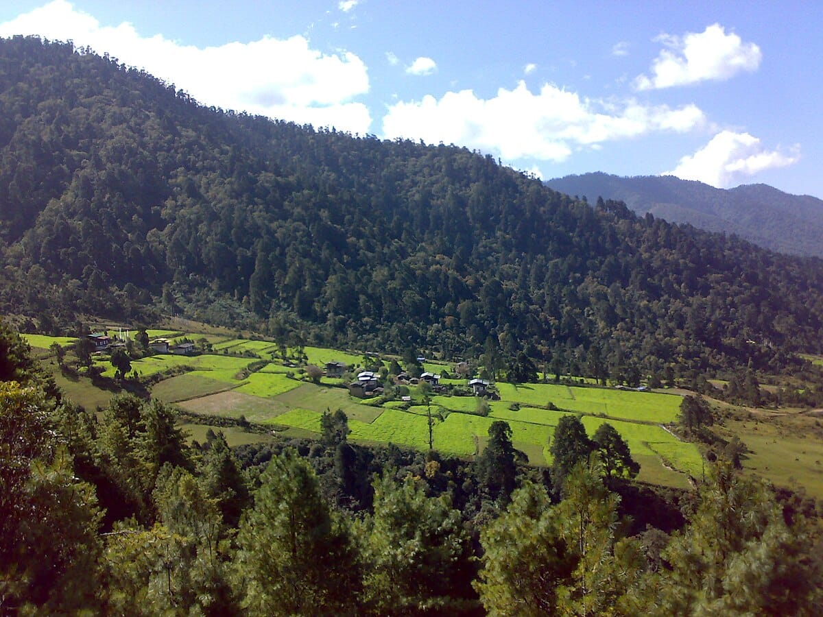 Punakha to Phobjikha