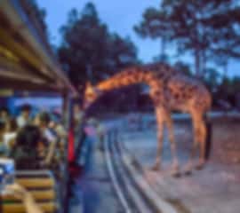 Classic 7 day trip to Singapore for Family