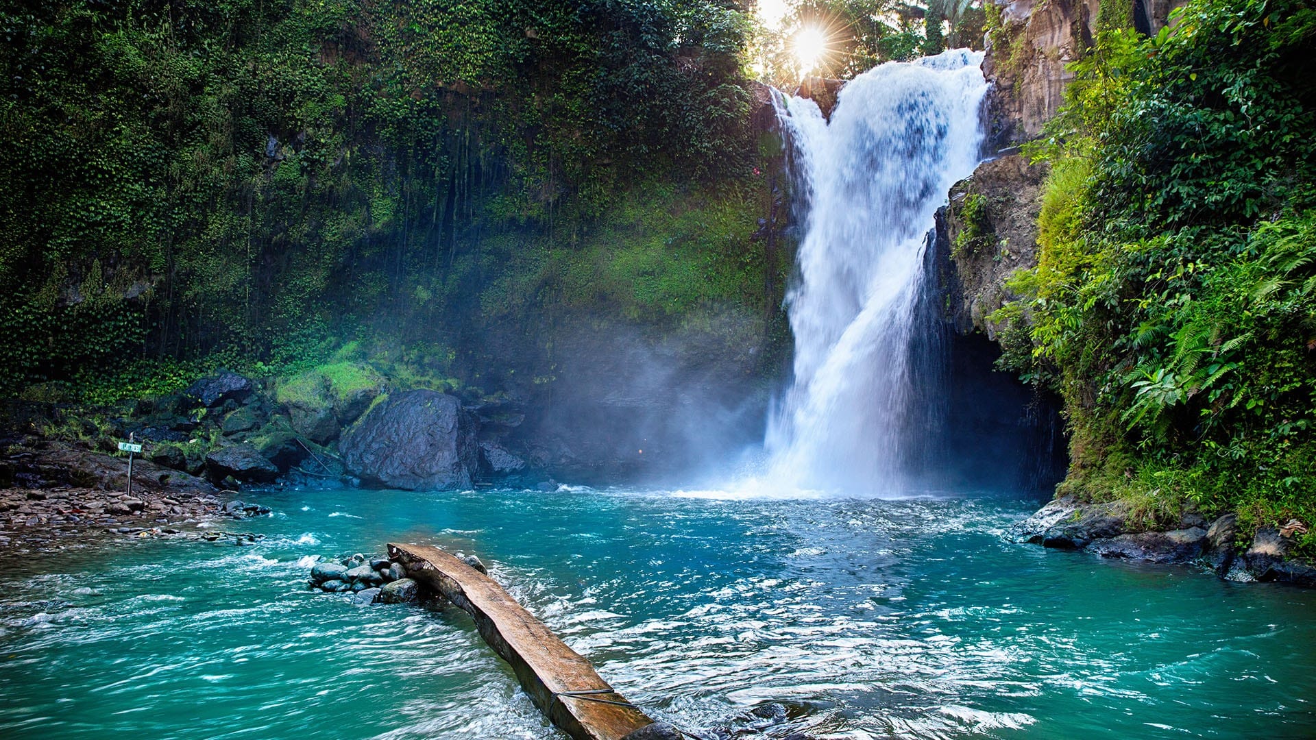 Tegenungan Waterfall, Tegallalang Rice Fields and Monkey Forest With Private Transfers