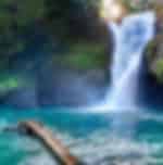 Tegenungan Waterfall, Tegallalang Rice Fields and Monkey Forest With Private Transfers