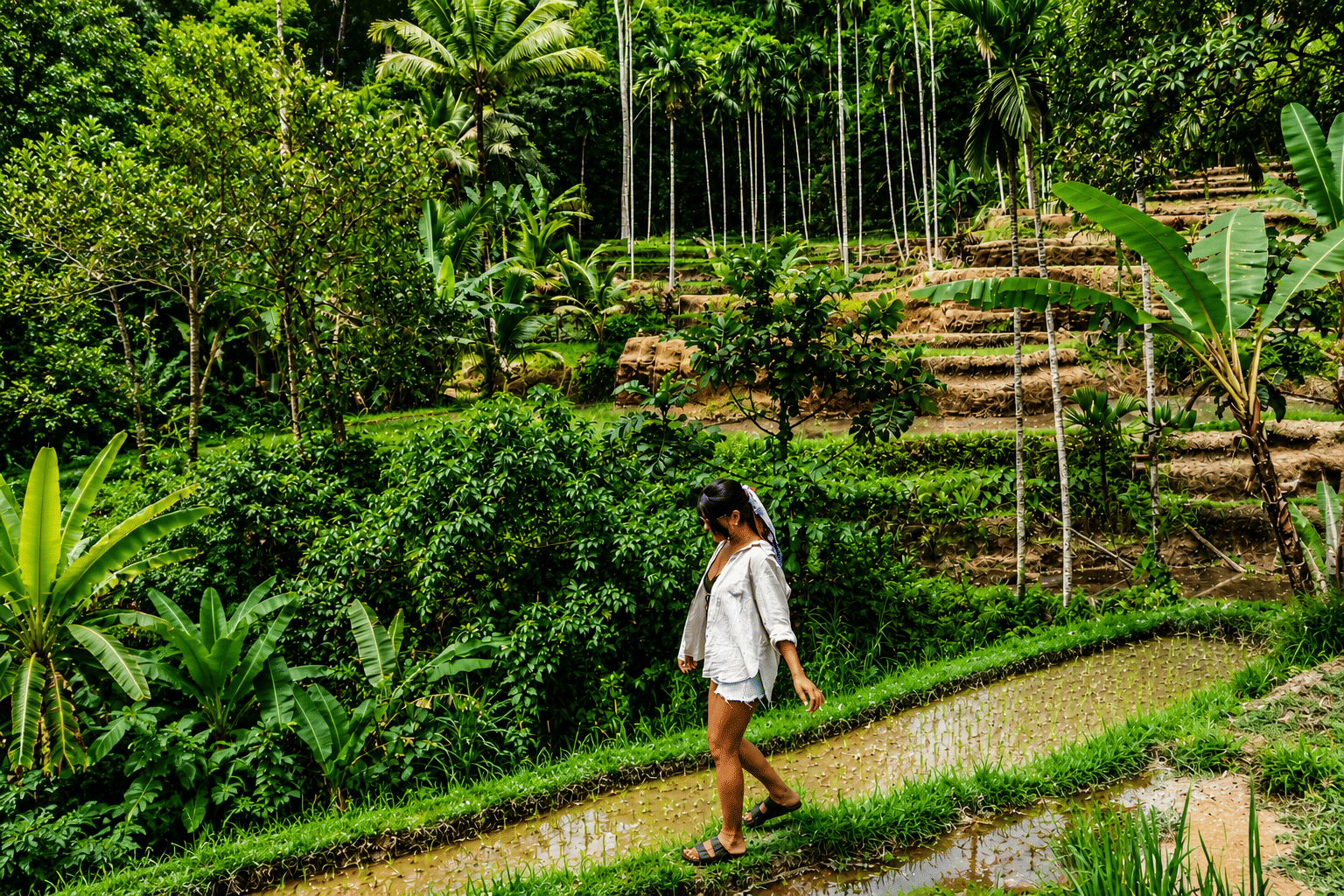 Tegallalang Rice Terrace & Tirta Empul Temple Private Tour with Ubud Art Market