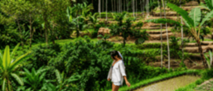 Tegallalang Rice Terrace & Tirta Empul Temple Private Tour with Ubud Art Market