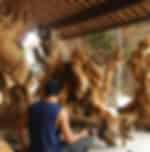 Bali Zoo Park with Ubud Art and Craft With Private Transfers