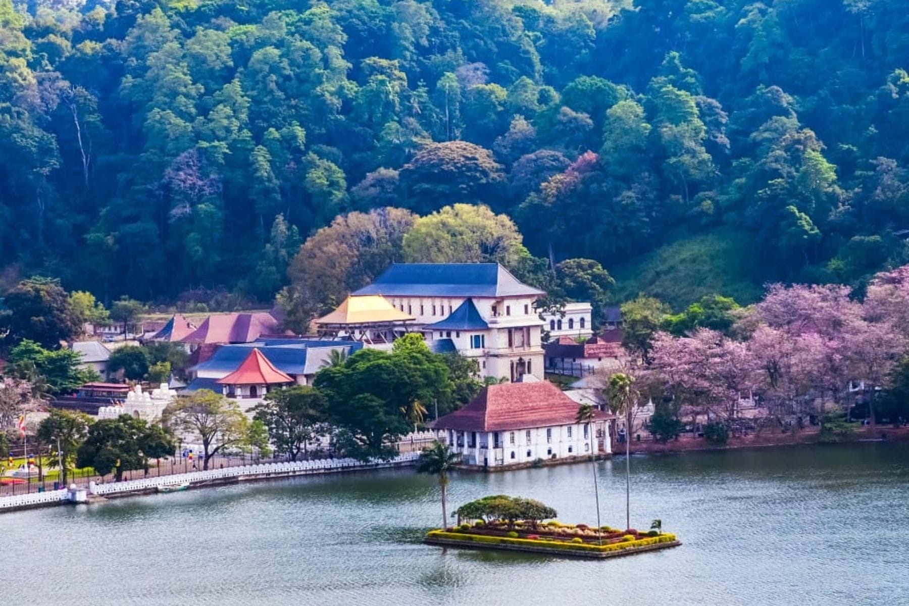Kandy City Cultural Tour Kataragama Devalaya, Peradeniya Botanical Gardens, Temple of the Tooth Relic and Gem Museum