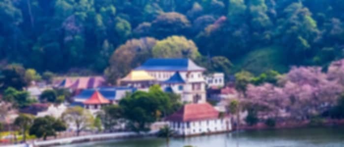 Kandy City Cultural Tour Kataragama Devalaya, Peradeniya Botanical Gardens, Temple of the Tooth Relic and Gem Museum