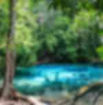 Krabi-Jungle Tour (Emerald pool, Hot spring waterfall, Tiger Cave) with Lunch (Including N.Park Fee) Shared Transfer
