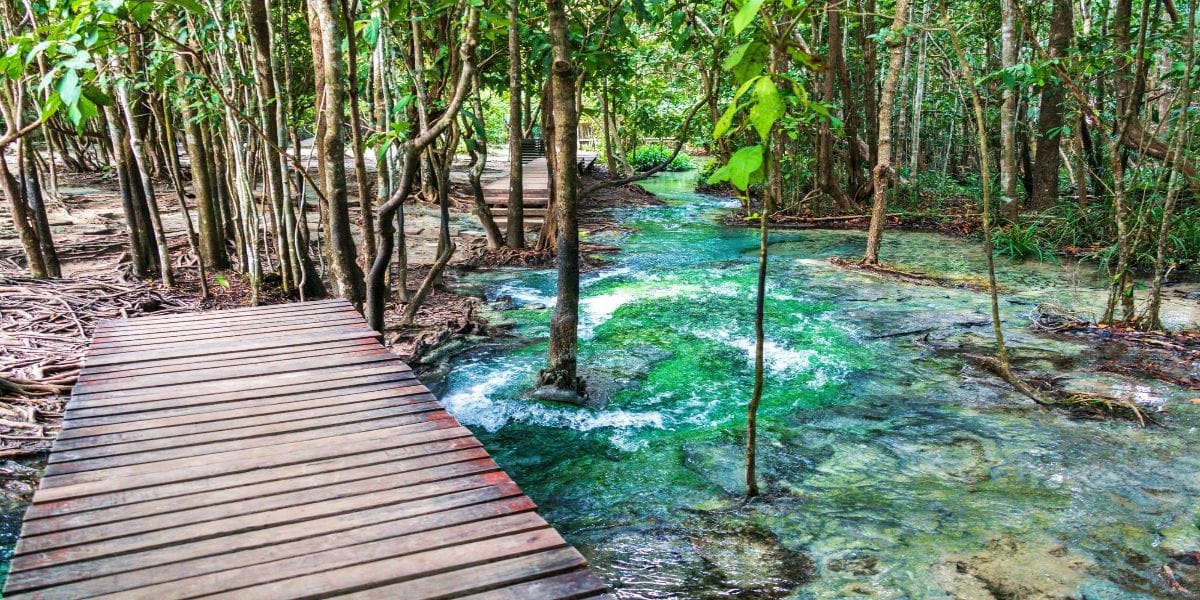 Krabi-Jungle Tour (Emerald pool, Hot spring waterfall, Tiger Cave) with Lunch (Including National Park Fee) Private Transfer (Enroute)