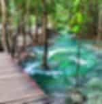 Krabi-Jungle Tour (Emerald pool, Hot spring waterfall, Tiger Cave) with Lunch (Including National Park Fee) Private Transfer (Enroute)