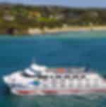 3 hour Dolphin and Seal Swim (NOV-APR)