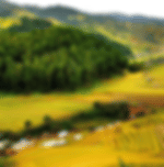 Hanoi – Pu Luong Day Trip SIC