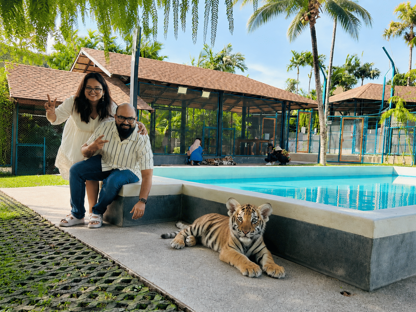 Pattaya Tiger Park Smallest Tiger Entry with Private Transfer Available for All Ages