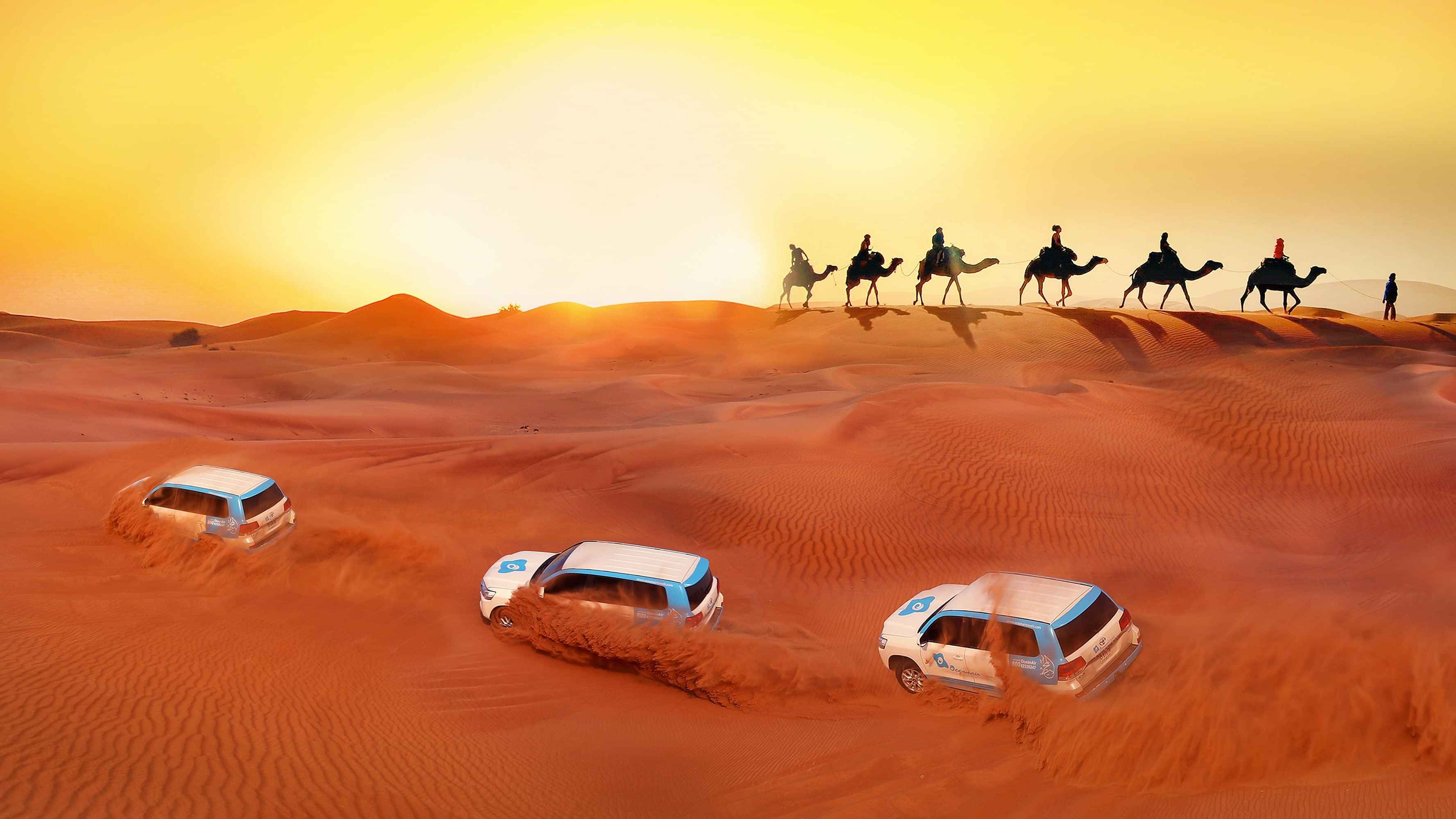 Deluxe Desert Safari (Lama Camp with VIP Seating or Similar) On Shared Basis