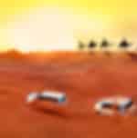 Deluxe Desert Safari (Lama Camp with VIP Seating or Similar) On Shared Basis