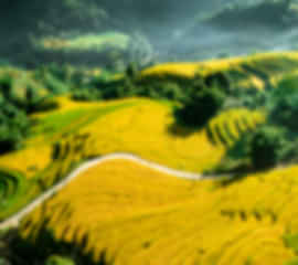 Hanoi 5-Night City Exploration Tour – Vietnam Capital Experience