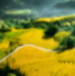 Sapa (2D1N): Y Linh Ho - Lao Chai - Ta Van - Giang Ta Chai (Homestay) SIC