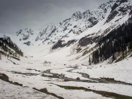 Srinagar 5 Nights 6 Days Itinerary