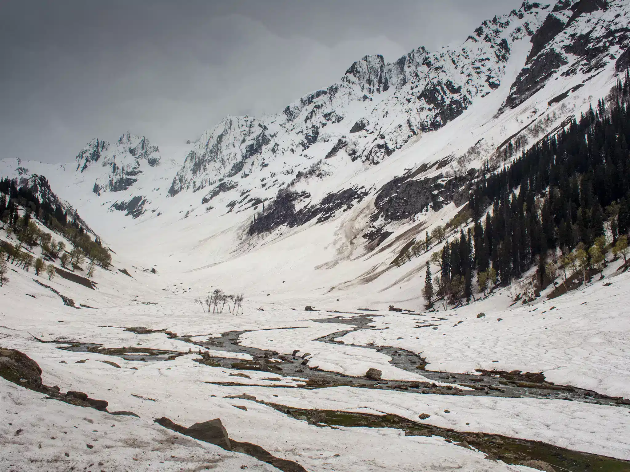 Srinagar to Sonmarg via Z Morh Tunnel with Thajivas Glacier on Pony