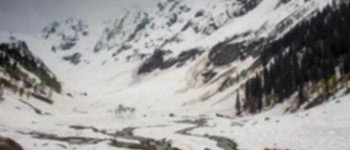 Srinagar to Sonmarg via Z Morh Tunnel with Thajivas Glacier on Pony