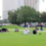 Inter Hotel Transfer + 02 Day park Access - Inter Hotel Transfer + 02 Day park Access