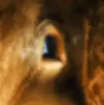Saigon Half Day Cu Chi Tunnels Tour SIC WITH LUNCH by Limousine