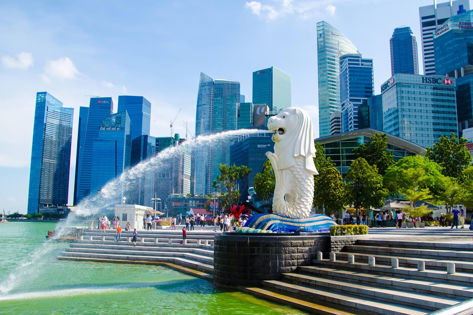 City Tour and Gardens by the Bay with Shared Transfers