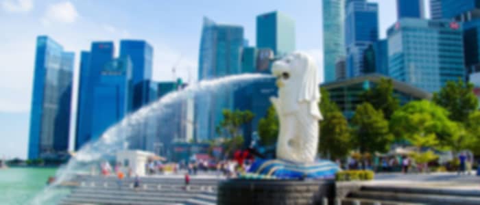 City tour and gardens by the bay on shared transfers