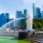 City Tour and Gardens by the Bay with Shared Transfers
