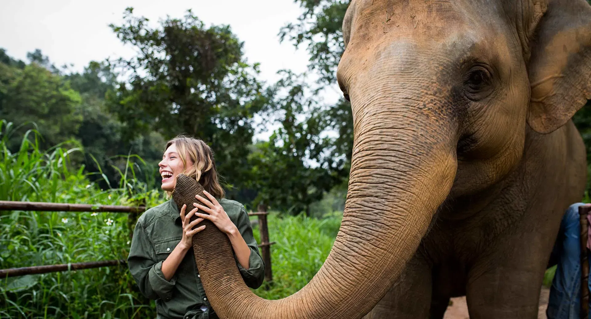 Chiang Rai-Full Day Tour Chiang Rai : Elephant Ride and Bamboo Raft with Lunch (Min 2 Pax) (Shared Transfer)