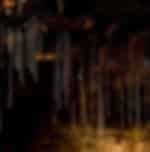 Mt Tamborine Glow Worm Caves and Winery Tour from the Gold Coast or Brisbane