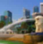 City Tour and Gardens By The Bay (Cloud Forest and Flower Dome) with Private Transfers