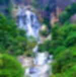 Ella city tour: Ravana falls,nine arch,Ravan pool club (Enroute)
