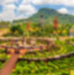 Pattaya-Nong Nooch and Show With Lunch With Private Transfer
