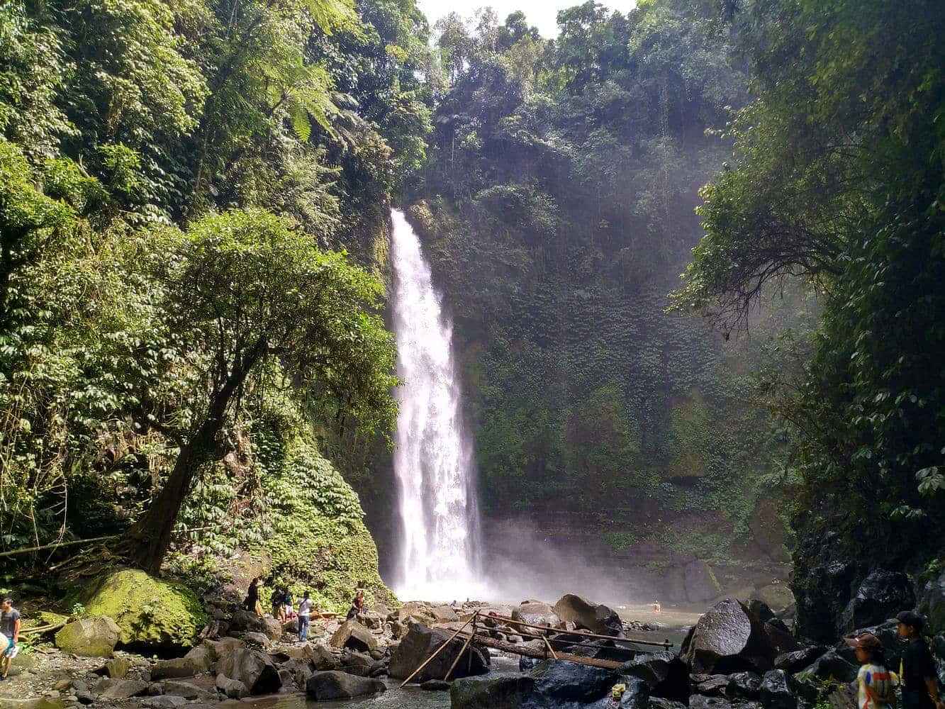 Sangeh Sacred Monkey Forest, Nung Nung Water Fall, The Blooms Bali and Ulun Danu temple