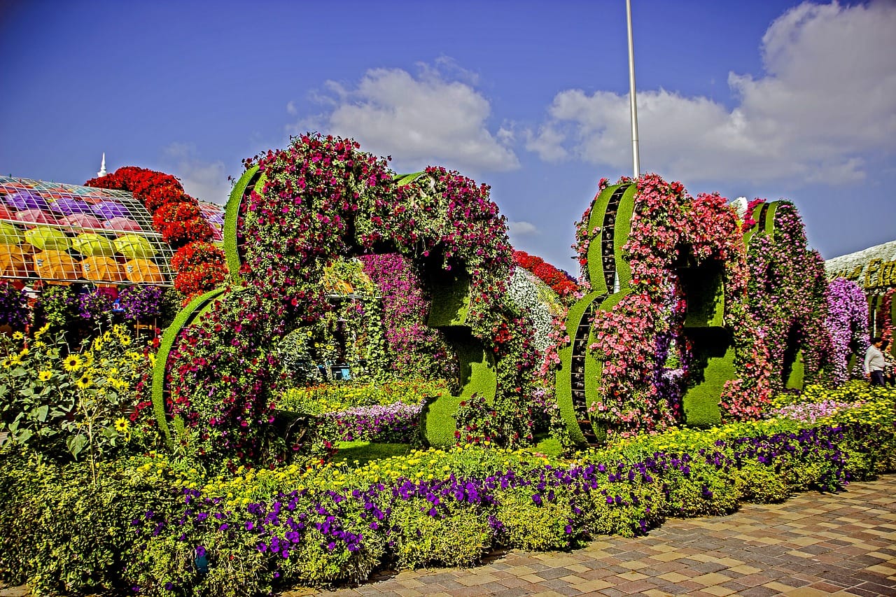  Miracle Garden + Global Village + Butterfly Garden with SIC Transfers