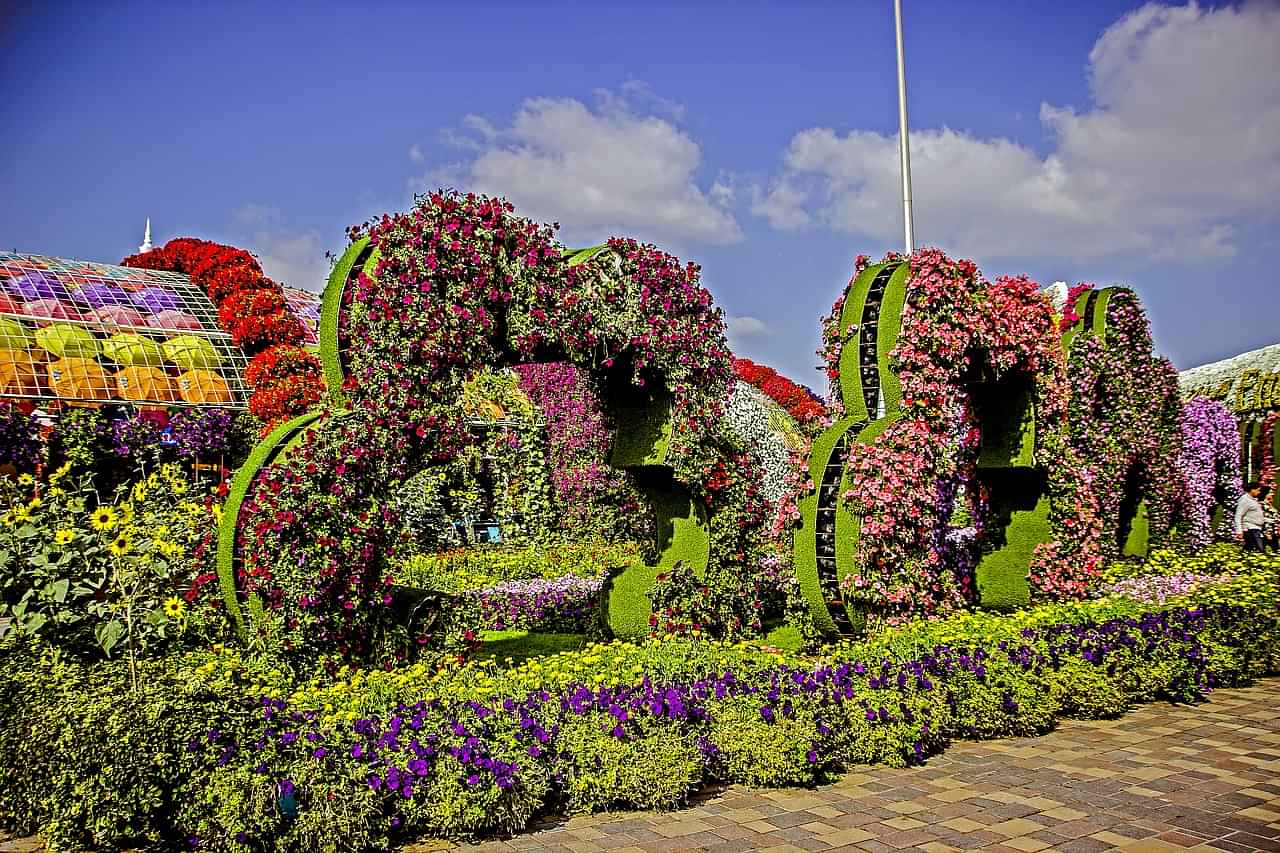  Miracle Garden + Global Village + Butterfly Garden with SIC Transfers