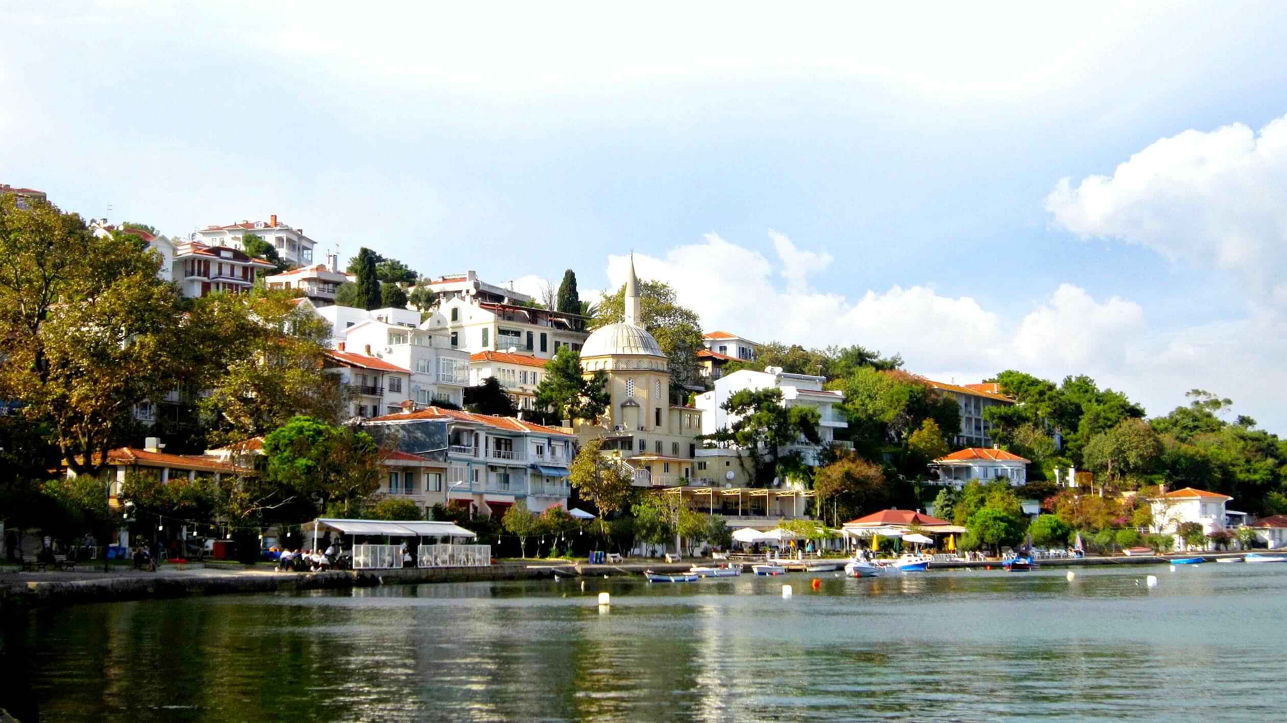 Full Day Princess Island Tour with ferry Buyukada and it's wooden old houses with Shared Transfer