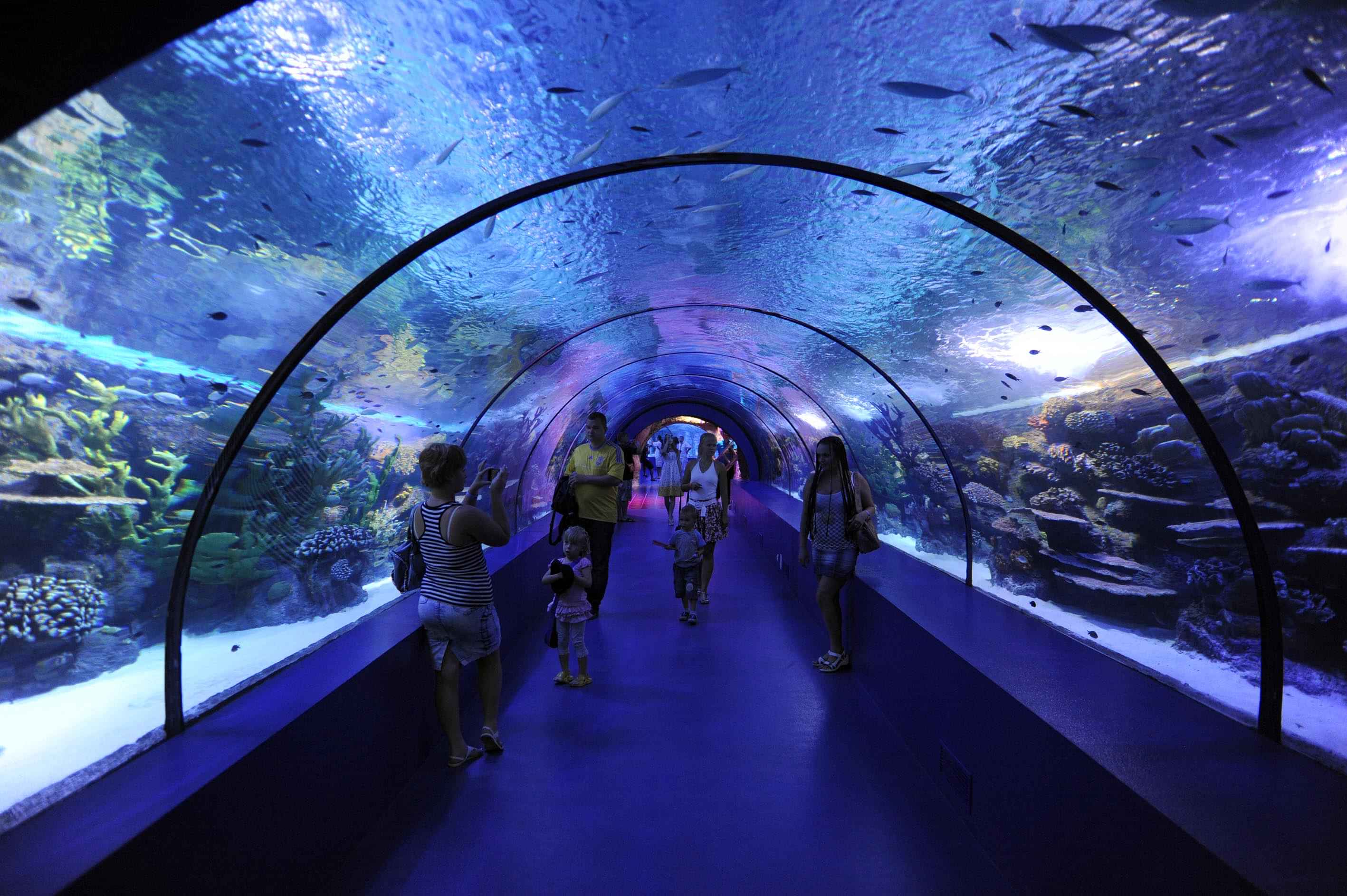 Full day Antalya Aquarium tour + AVM With Shared Transfers