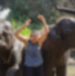 Kanchanaburi Elephant Ride and Bamboo Rafting Tour with Shared Transfers