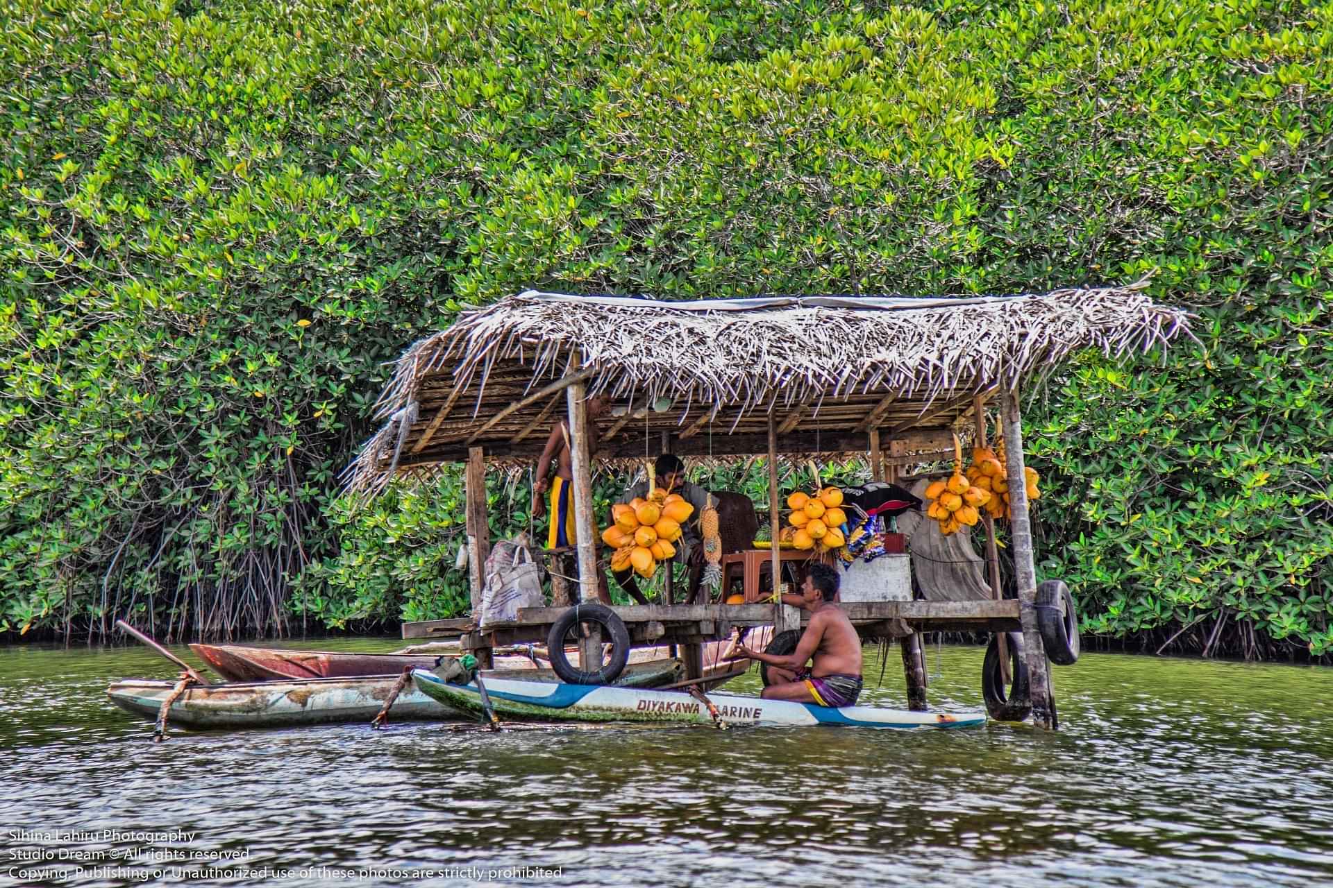 Madhu River Boat Ride (1.5 Hrs) - SIC Transfers