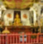 Kandy Temple of tooth - Tickets Only