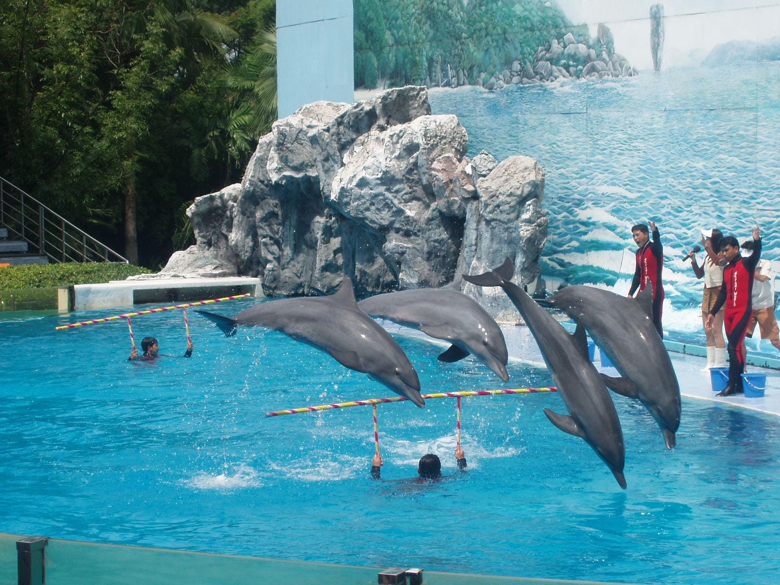 Bangkok - Safari World and marine park with Lunch in Private transfer (Enroute) Closed on Monday