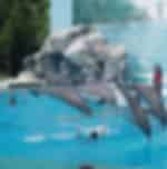 Bangkok - Safari World and marine park with Lunch in Private transfer (Enroute) Closed on Monday