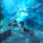 Bangkok - Sea Life Bangkok and Madame Tussauds With Private Transfers