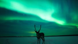 Kakslauttanen 4 Nights 5 Days Luxury Itinerary