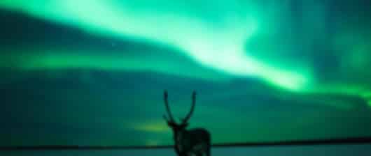 Kakslauttanen 4 Nights 5 Days Luxury Itinerary