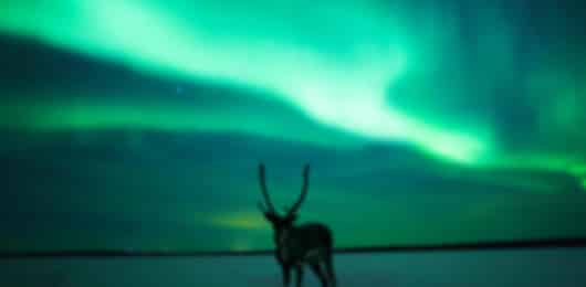 Kakslauttanen 4 Nights 5 Days Luxury Itinerary