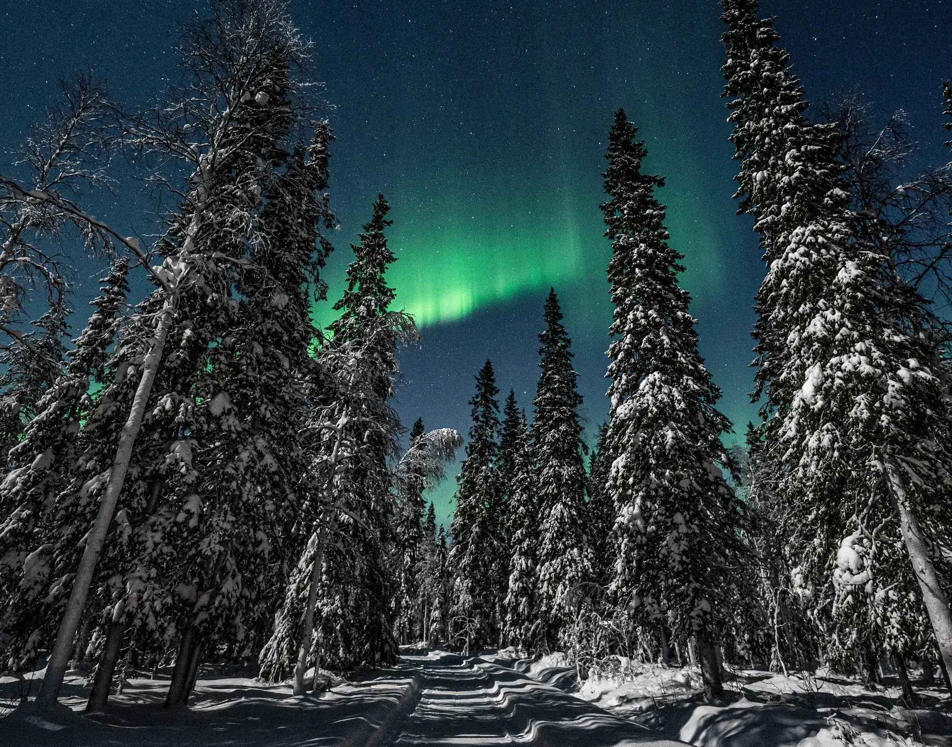 Northern Lights with Campfire and Reindeer feeding with shared transfers